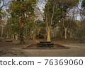 Atar in  kampong tom Wat Temple,  Cambodia. 76369060