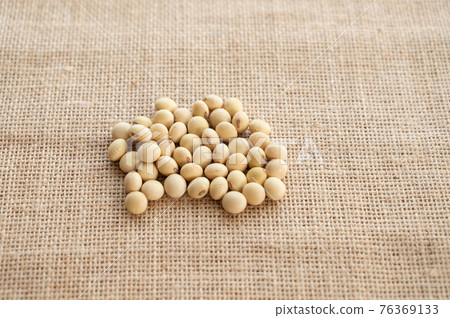 綠豆種子 綠豆種子 76369133