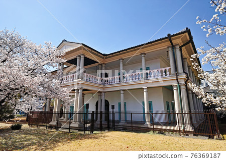 Sempukan in full bloom in Kita-ku, Osaka (important cultural property) 76369187