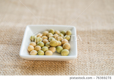 毛豆種子 76369278