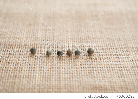 Lined okra seeds 76369283