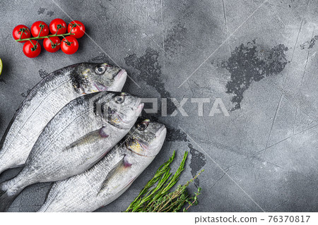 Set of seabream or Gilt head bream orata fish with herbs pepper lime tomato for cooking and grill on grey textured background, top view with space for text. 76370817
