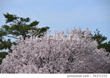 大阪狹山池博物館 76371332