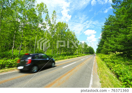 Drive through Biei Forest in Hokkaido in the summer Drive through Biei Forest in Hokkaido in the summer 76371360