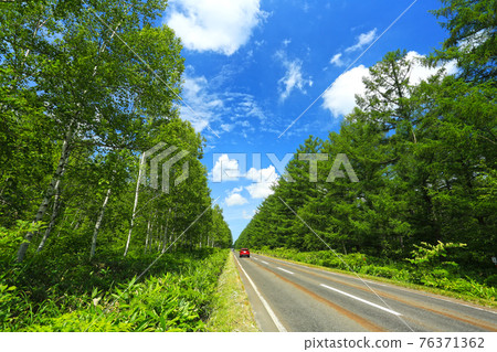 夏天開車穿過北海道的美瑛森林 76371362