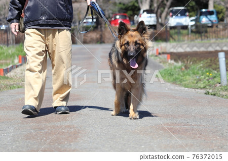 一個散步的人和一個牧羊人 76372015