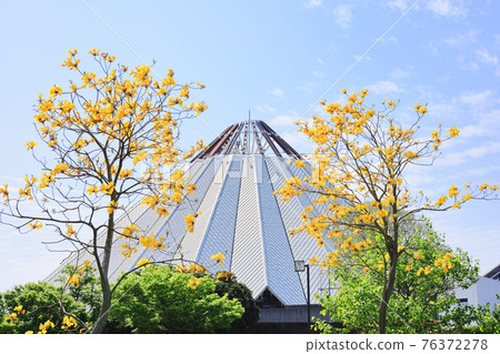 Ipe and Crane Park Izumi Spring scenery 76372278