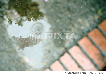 水坑里的東京塔 水坑里的東京塔 76372377