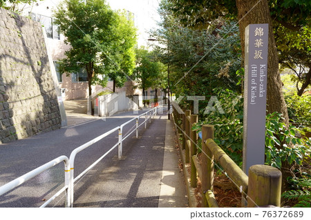 Kinkazaka (Sarugakucho, Chiyoda-ku, Tokyo) 76372689