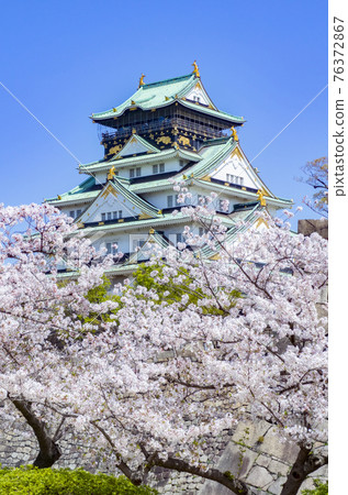 Osaka Castle Sakura Spring 76372867
