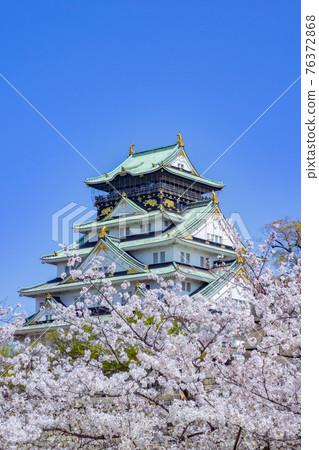 大阪城櫻花春天 76372868