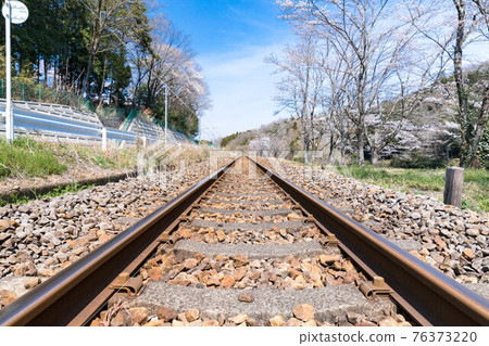 Ogose Town, Saitama Prefecture, Sakura and Hachiko Line tracks 76373220