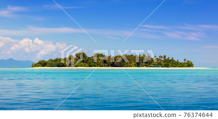 Tropical island with coconut palm. Beach fun. 76374644