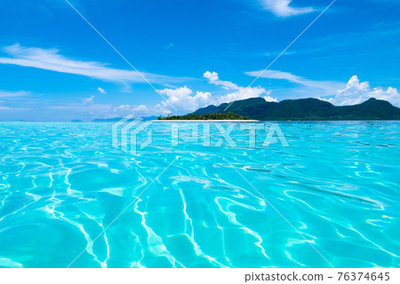 Tropical island with coconut palm. Beach fun. 76374645
