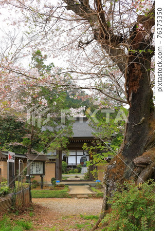 東京秋留野市高言寺 東京秋留野市高言寺 76375350
