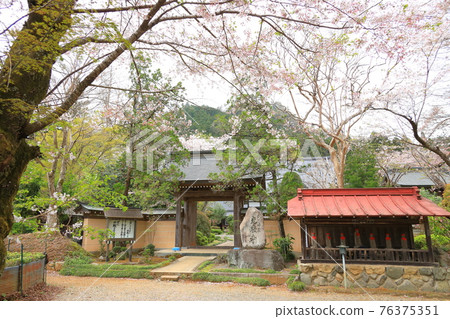 東京秋留野市高言寺 76375351