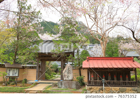東京秋留野市高言寺 東京秋留野市高言寺 76375352