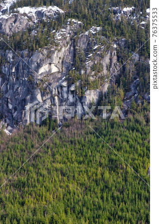 View of Canadian Mountain Landscape in winter. 76375533