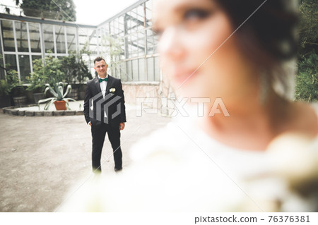 Happy wedding couple walking in a botanical park Happy wedding couple walking in a botanical park 76376381