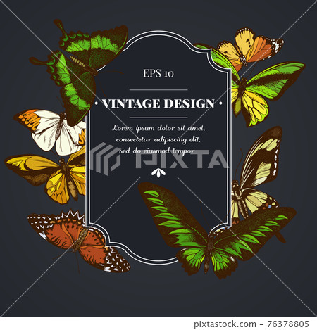 Dark badge design with great orange-tip, emerald swallowtail, jungle queens, plain tiger, rajah 76378805