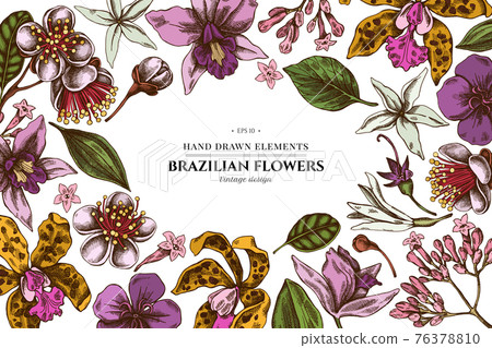 Floral design with colored laelia, feijoa flowers, glory bush, papilio torquatus, cinchona, cattleya Floral design with colored laelia, feijoa flowers, glory bush, papilio torquatus, cinchona, cattleya 76378810