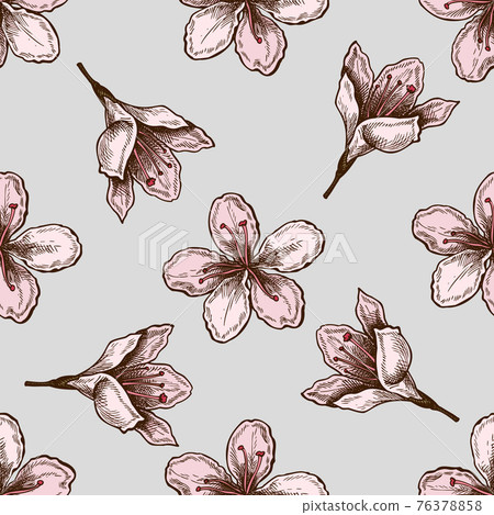 Seamless pattern with hand drawn colored plum flowers Seamless pattern with hand drawn colored plum flowers 76378858