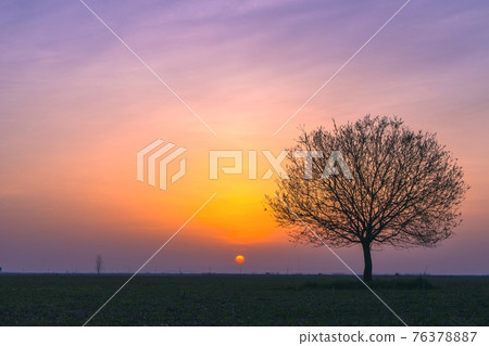 Earth sunrise 76378887