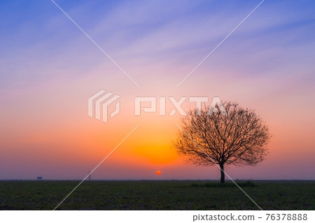 Earth sunrise 76378888