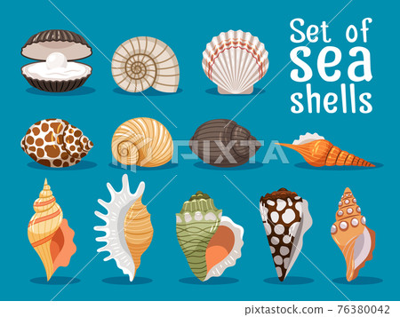 Sea shells flat icons set Sea shells flat icons set 76380042