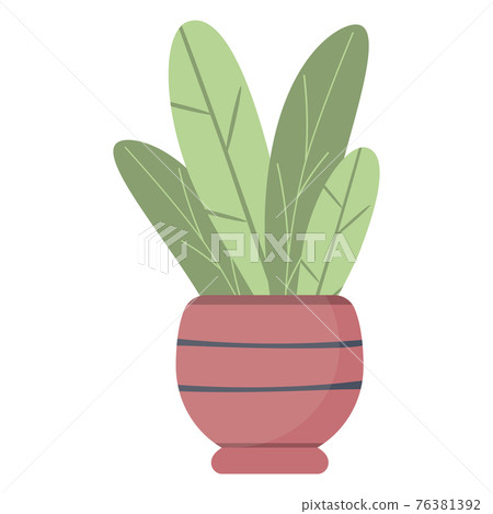 Plant leaves in a pot, beautiful green houseplant isolated vector. Plant leaves in a pot, beautiful green houseplant isolated vector. 76381392