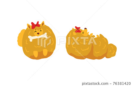 Cute Fluffy Dog Activity Set, Adorable Spitz Pet Animal with Red Bow Vector Illustration Cute Fluffy Dog Activity Set, Adorable Spitz Pet Animal with Red Bow Vector Illustration 76381420