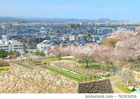 [Tottori Prefecture] Cherry blossoms in full bloom and Tottori city (Kyusho Park) seen from Tottori Castle 76383856