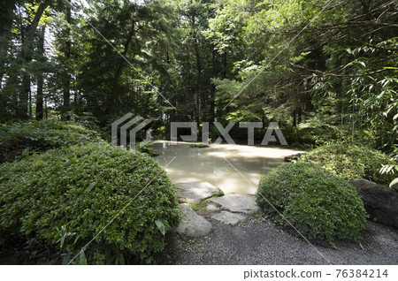 A pond in the precincts of Hotaka Shrine (Azumino City) A pond in the precincts of Hotaka Shrine (Azumino City) 76384214