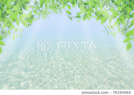 Fresh green and sea in early summer 76384968