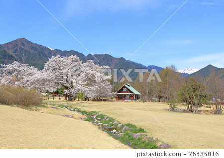 Chihiro Art Museum Azumino in the spring when cherry blossoms bloom Chihiro Art Museum Azumino in the spring when cherry blossoms bloom 76385016