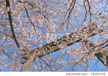 Spring of Kumano Hongu Taisha, Daisaihara, Hongu-cho, Tanabe City, Wakayama Prefecture Spring of Kumano Hongu Taisha, Daisaihara, Hongu-cho, Tanabe City, Wakayama Prefecture 76385348