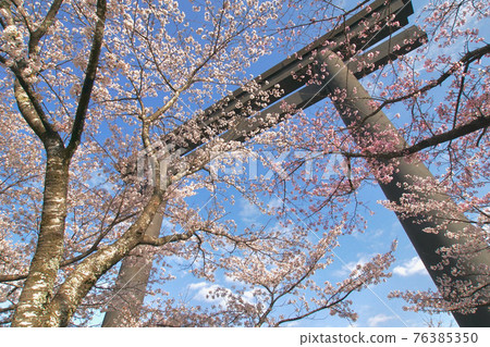和歌山縣田邊市本宮町大齋原熊野本宮大社的春天 和歌山縣田邊市本宮町大齋原熊野本宮大社的春天 76385350