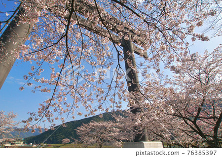 Spring of Kumano Hongu Taisha, Daisaihara, Hongu-cho, Tanabe City, Wakayama Prefecture Spring of Kumano Hongu Taisha, Daisaihara, Hongu-cho, Tanabe City, Wakayama Prefecture 76385397