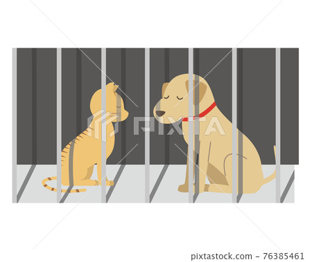 狗和貓被屠殺 76385461