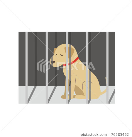 被宰殺的狗 被宰殺的狗 76385462