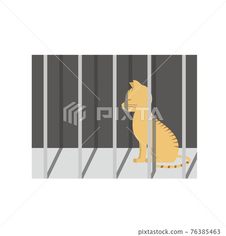 Cat to be slaughtered 76385463