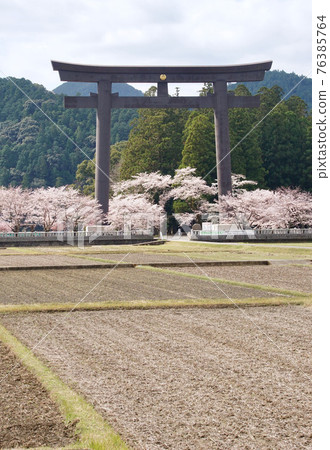 Spring of Kumano Hongu Taisha, Daisaihara, Hongu-cho, Tanabe City, Wakayama Prefecture Spring of Kumano Hongu Taisha, Daisaihara, Hongu-cho, Tanabe City, Wakayama Prefecture 76385764