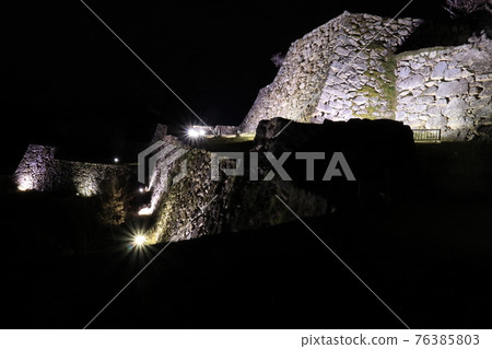 武田城之夜櫻花燈飾 76385803