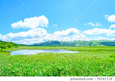 夏季八島長原濕地（八島長原濕地） 76387139