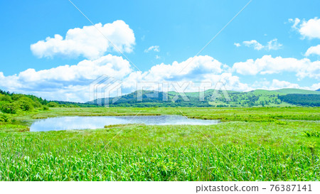 Summer Yashimagahara Wetland (Yashimagahara Wetland) Summer Yashimagahara Wetland (Yashimagahara Wetland) 76387141
