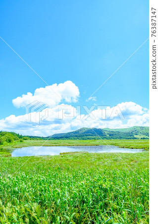 夏季八島長原濕地（八島長原濕地） 76387147