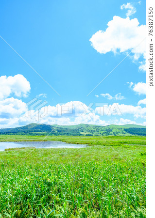 Summer Yashimagahara Wetland (Yashimagahara Wetland) Summer Yashimagahara Wetland (Yashimagahara Wetland) 76387150