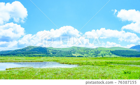 Summer Yashimagahara Wetland (Yashimagahara Wetland) Summer Yashimagahara Wetland (Yashimagahara Wetland) 76387155