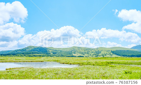Summer Yashimagahara Wetland (Yashimagahara Wetland) Summer Yashimagahara Wetland (Yashimagahara Wetland) 76387156