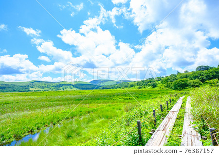 Summer Yashimagahara Wetland (Yashimagahara Wetland) Summer Yashimagahara Wetland (Yashimagahara Wetland) 76387157